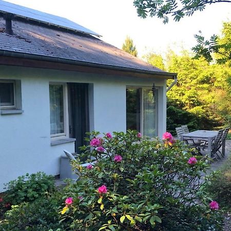 Villa Des Grues A Filly Houffalize Exterior photo